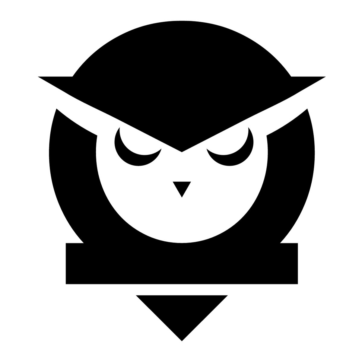 Domain Owl Logo